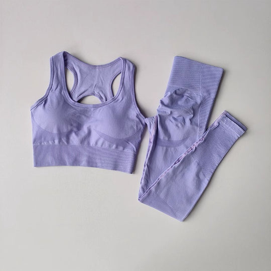 FlexFit Seamless Set – Bra & Leggings
