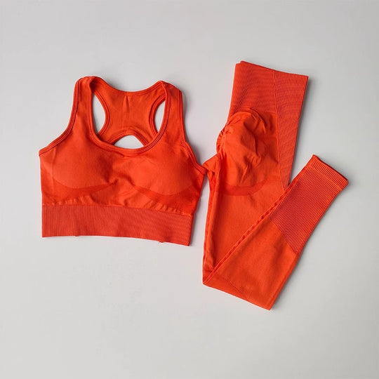 FlexFit Seamless Set – Bra & Leggings