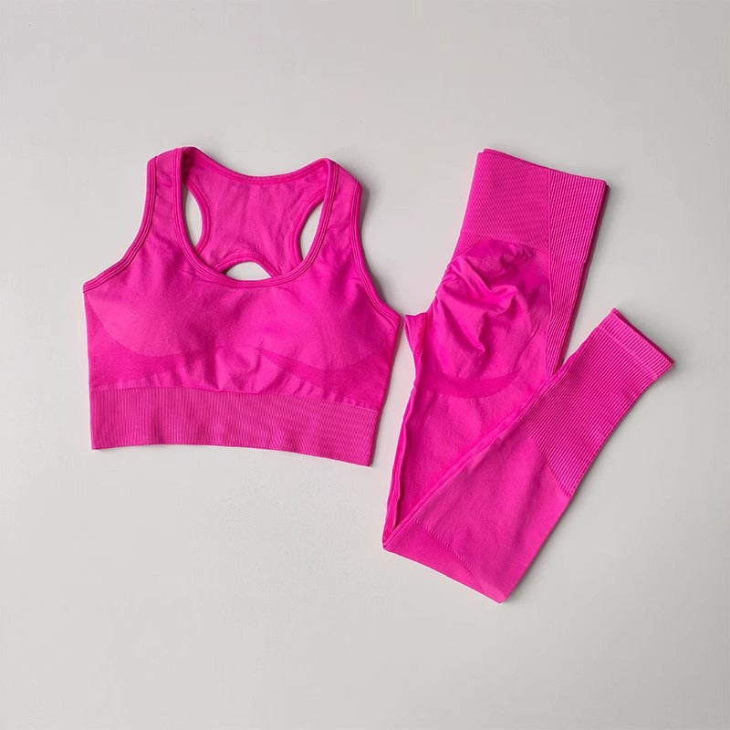 FlexFit Seamless Set – Bra & Leggings
